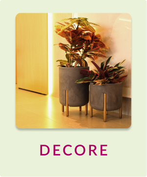 DECORE